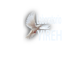 Laboratorio Yireh